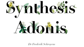 adonis, latest version of synthesis treasure, update to adonis